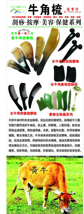綠島牛角梳 香皂蚊膏 保健美容
8月份展銷地點日期