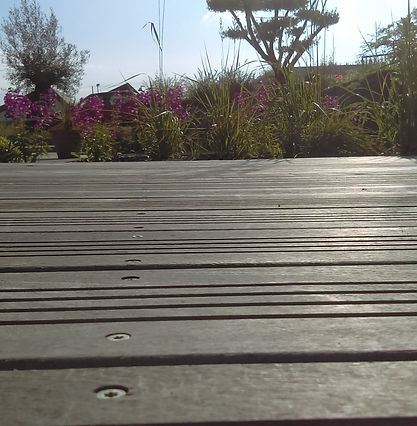 IMAG0581.jpg