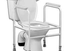 The Toilet Frame