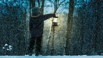 Winter Solstice Guide