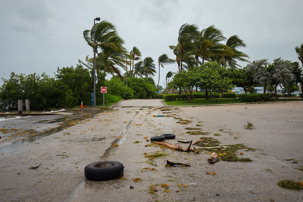 Windy scene with palm trees bending, scattered debris and tires on wet road. Overcast sky, sign reads wrong way. Stormy mood.
