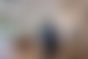 Inspecting water damage in a modern home