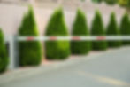 Parking barrier arm with red stripes against green shrubs and a peach-colored wall. Bright, sunny day with no visible text.