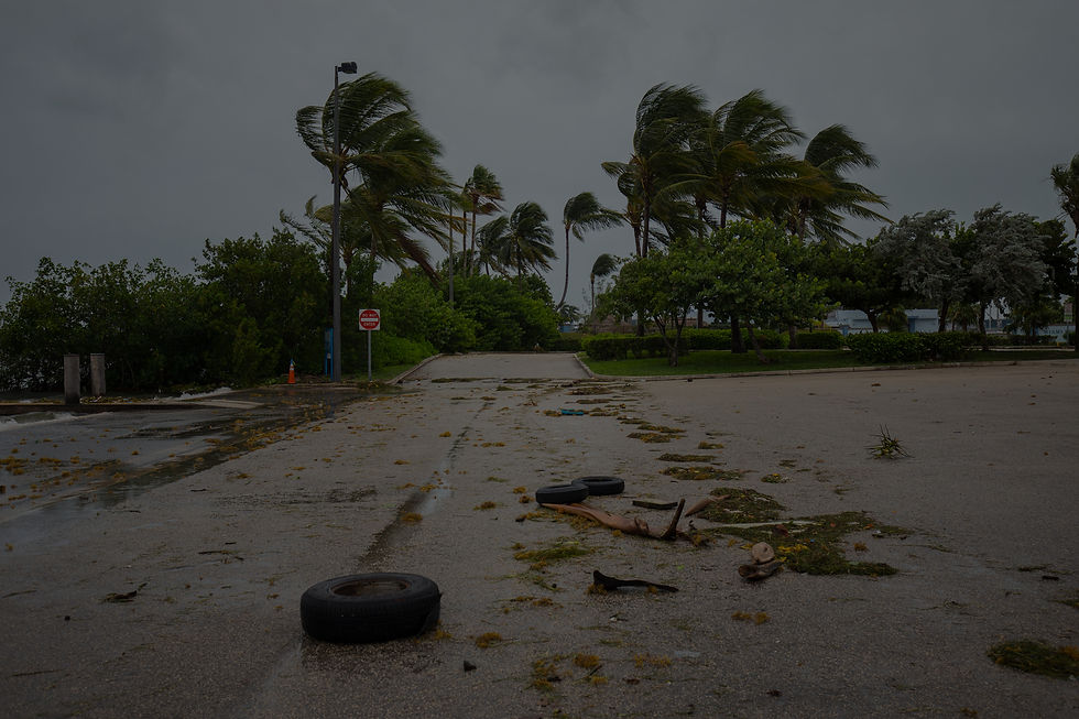 Storm aftermath with debris on a wet road, bent palm trees, gray sky, and a "Wrong Way" sign, creating a bleak, stormy atmosphere.