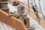Ropes coiled around a metallic winch on a wooden sailboat deck. Neutral-colored ropes contrast with polished metal, creating a nautical scene.
