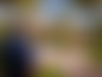 Does Insurance Require Home Watch for Vacant Homes in Florida?