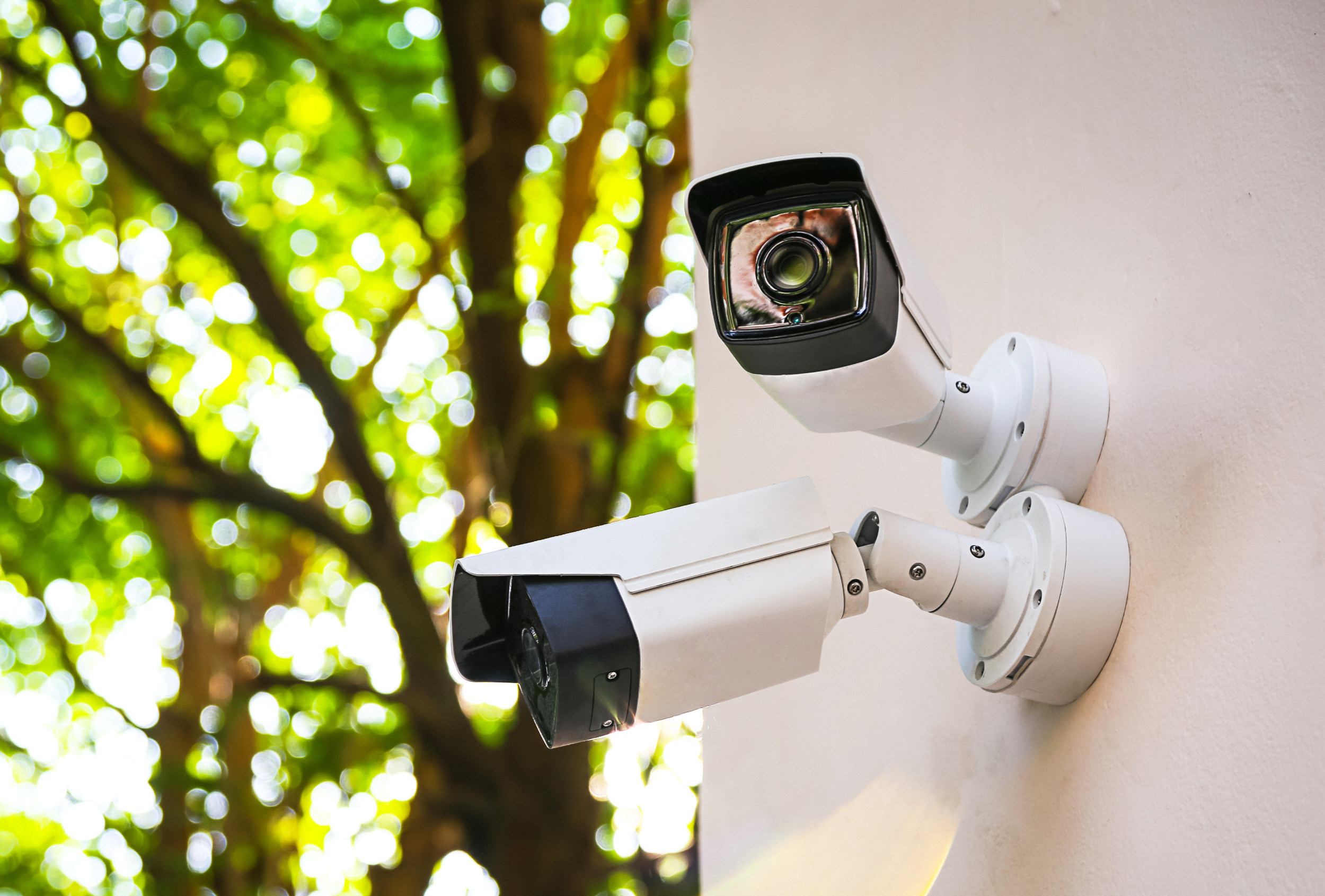 Camera Sfefe CCTV Cameras | Safe Home Management