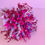 Thumbnail: hot pink dried flowers