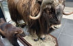 IMG_6004.jpeg