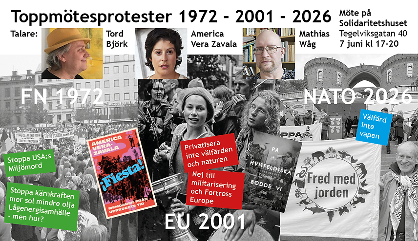 Hemsidan nätverket _ Toppmötesprotester7juni26.png