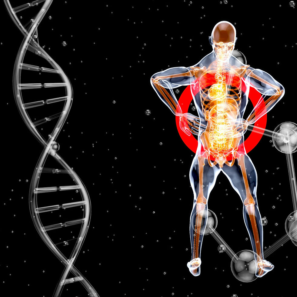 Artistic rendering of the back of the human body, with a focus on kidneys