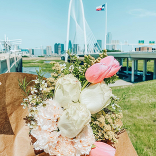 13 OUTDOOR DATE IDEAS IN DALLAS TO GET YOU OUT OF THE HOUSE
