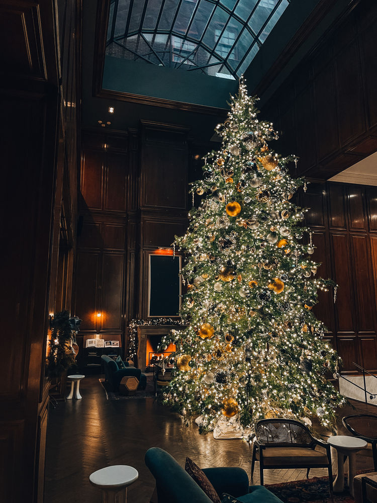 The Best Christmas Trees in Dallas / Fort Worth in 2020