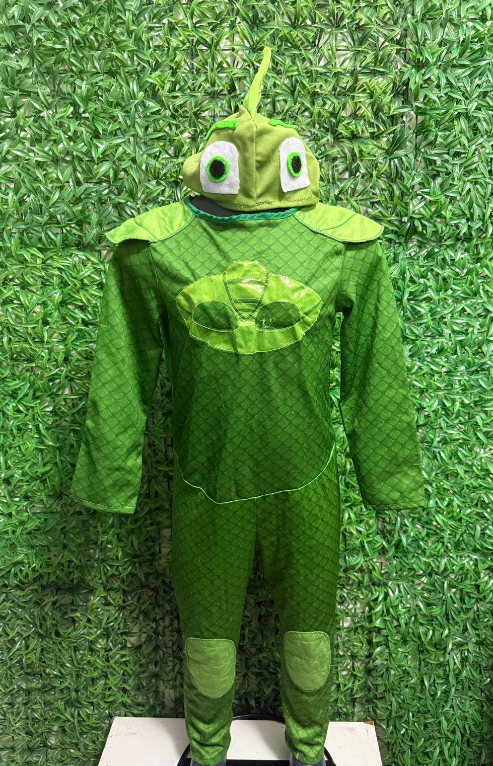 Gecko
Talla 4