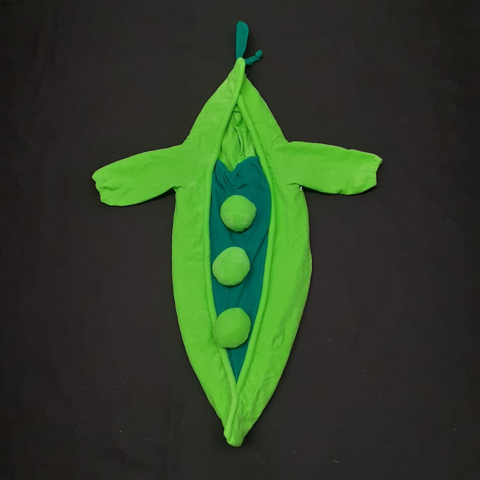 Chicharo
talla:_12/18 meses