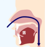 内視鏡イメージイラスト