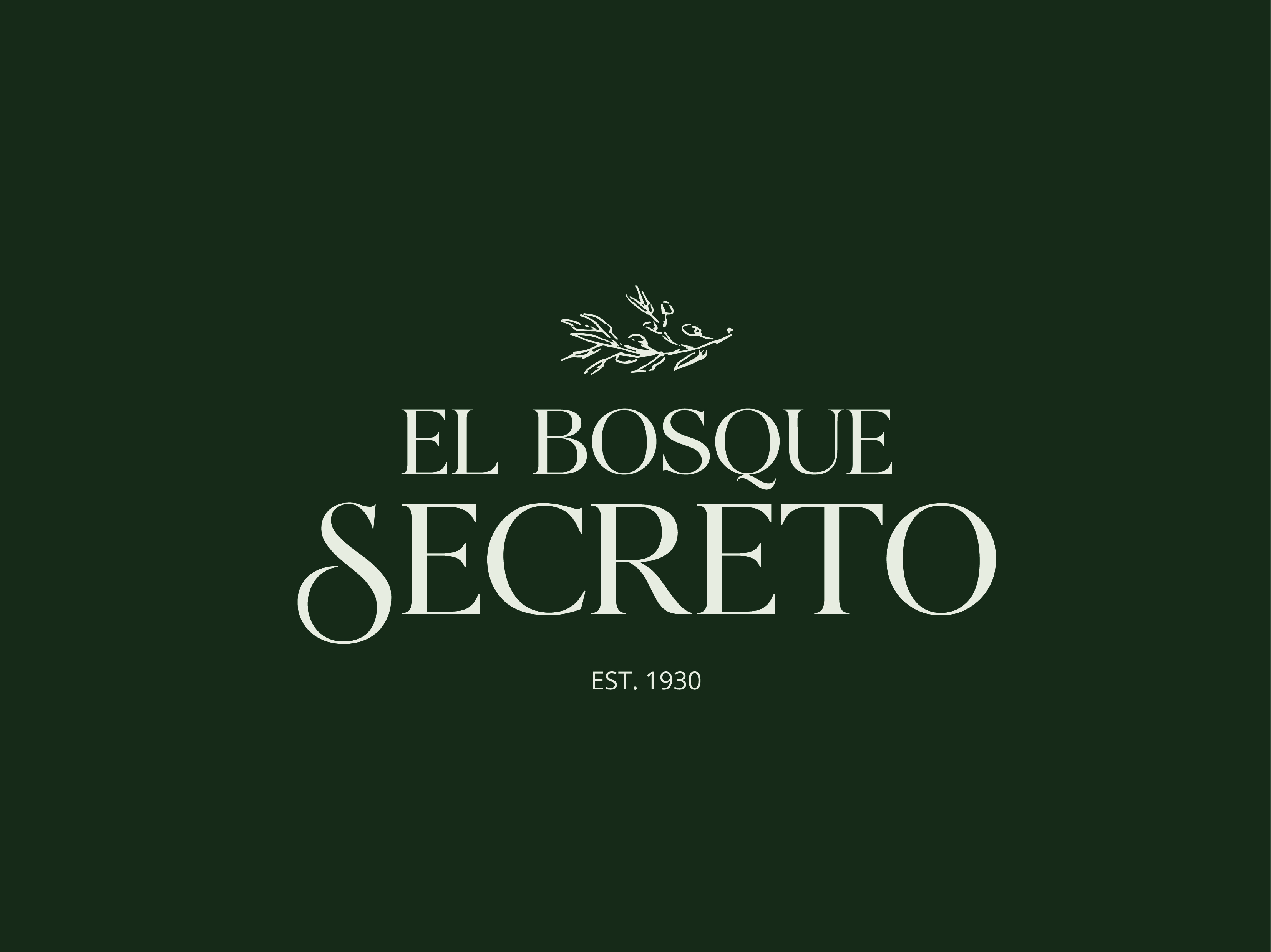 Foto del escritor: El Bosque Secreto