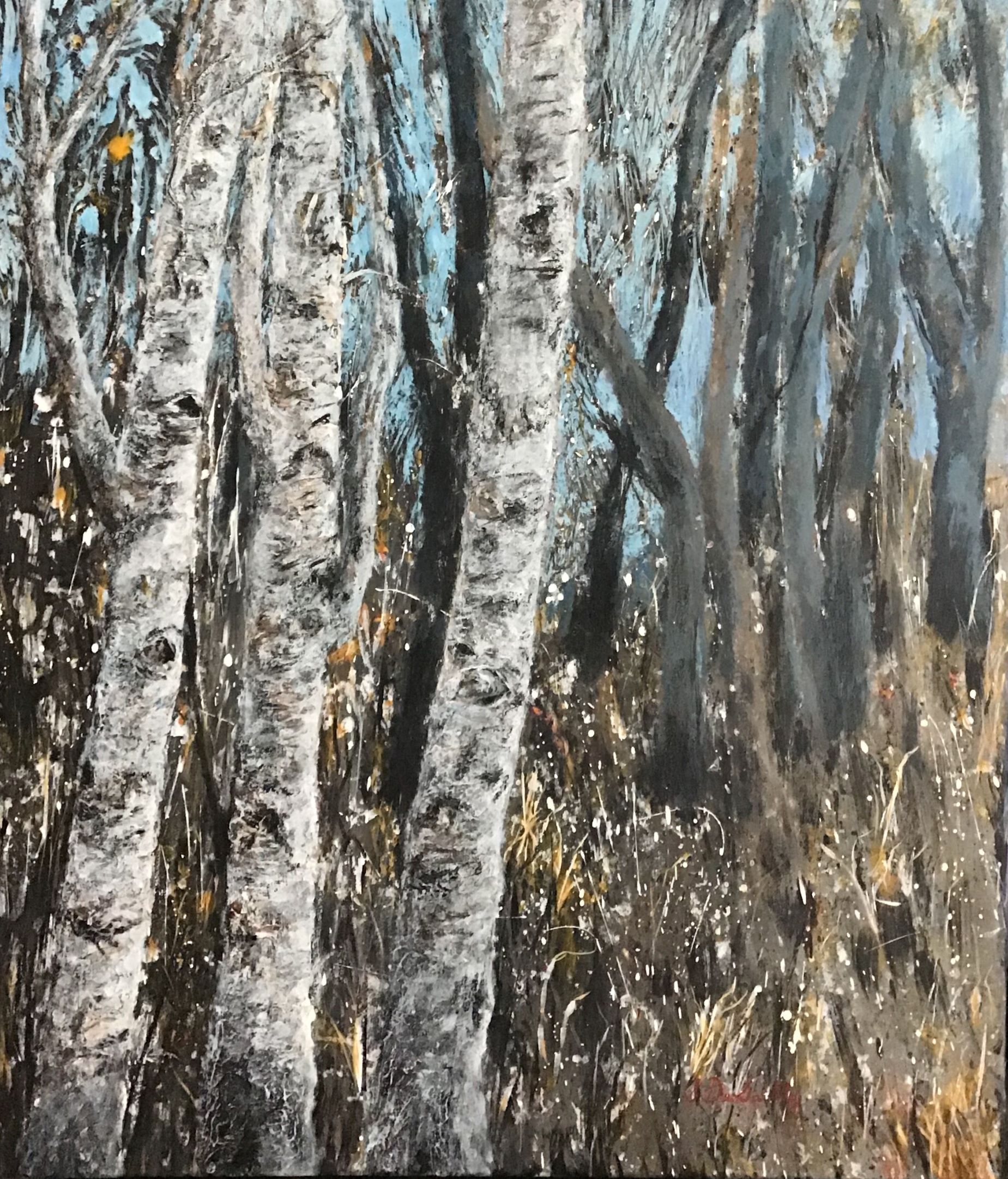 Forest Walk