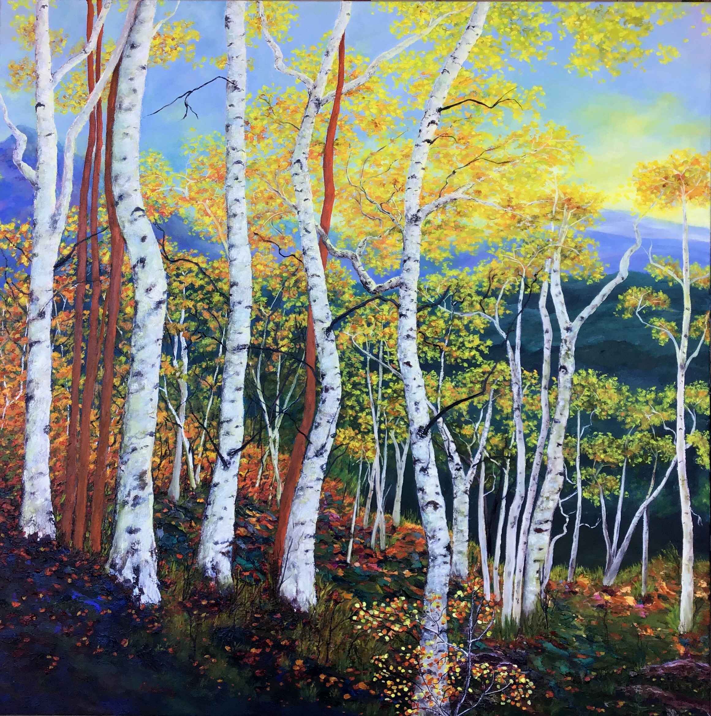 Birches at Sunrise