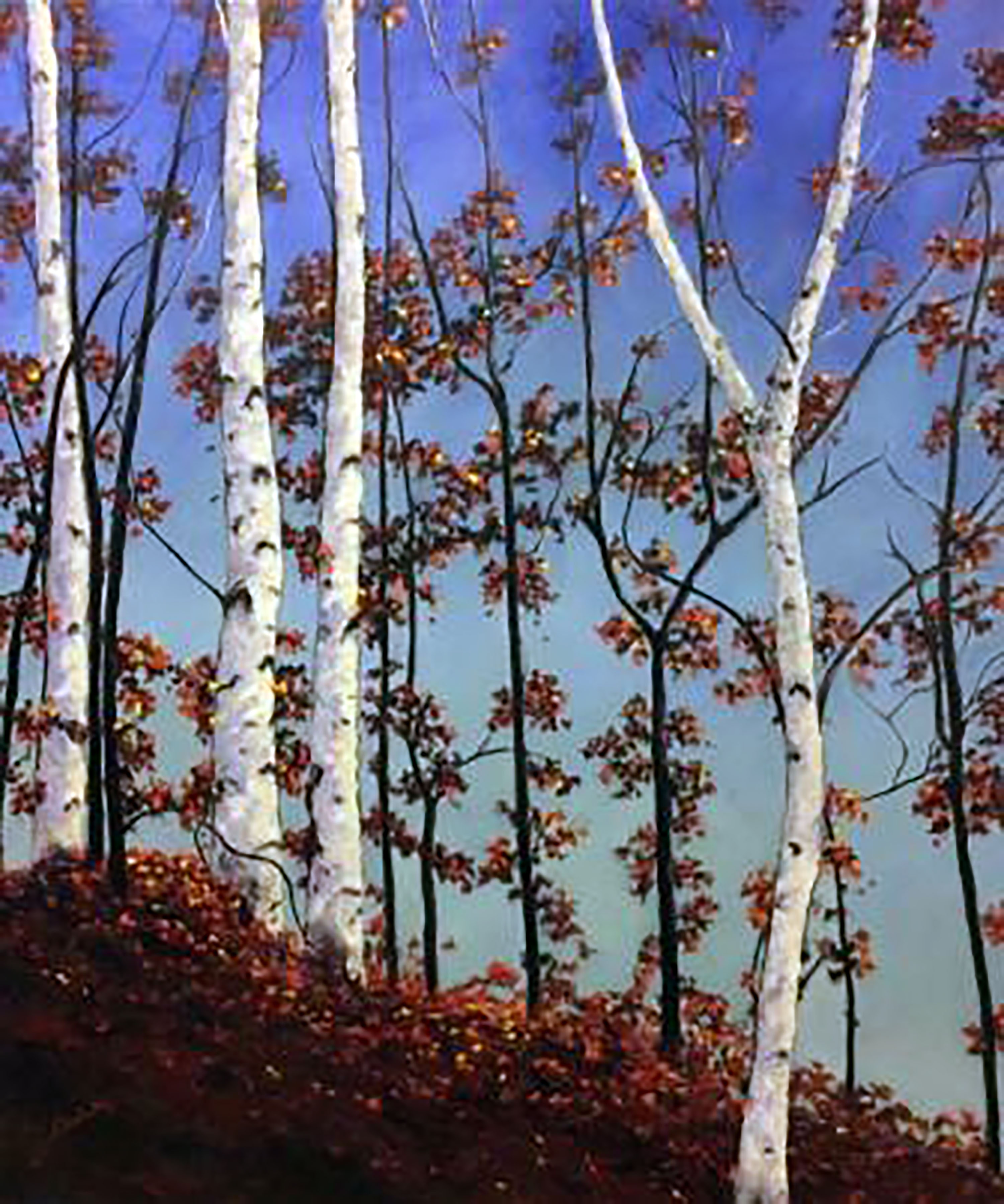 Autumn Birch Hillside