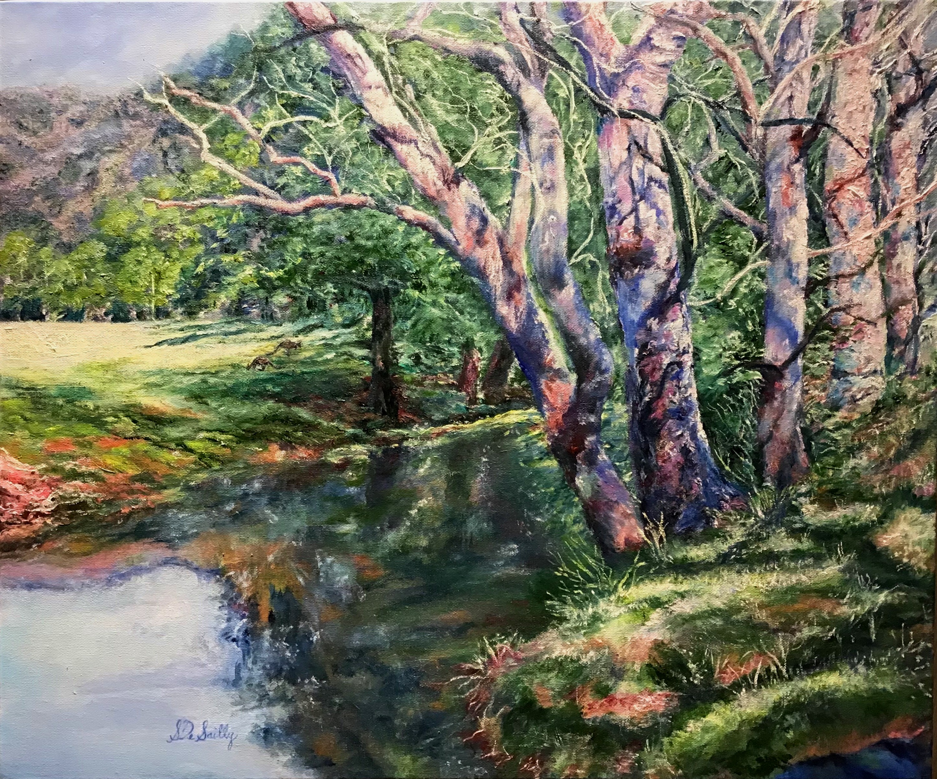 Kangaroo Valley Reflections