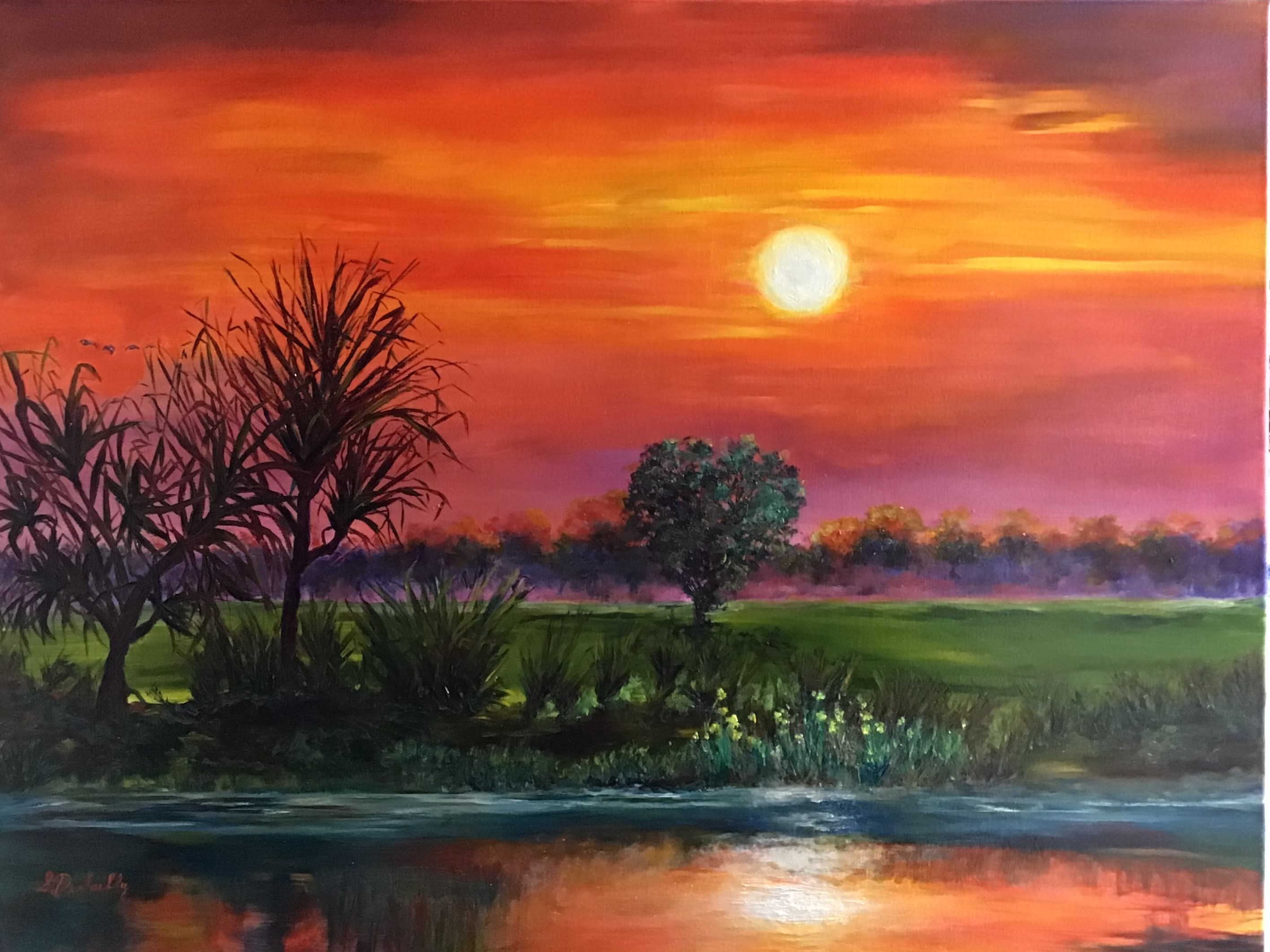 Kakadu Sunset
