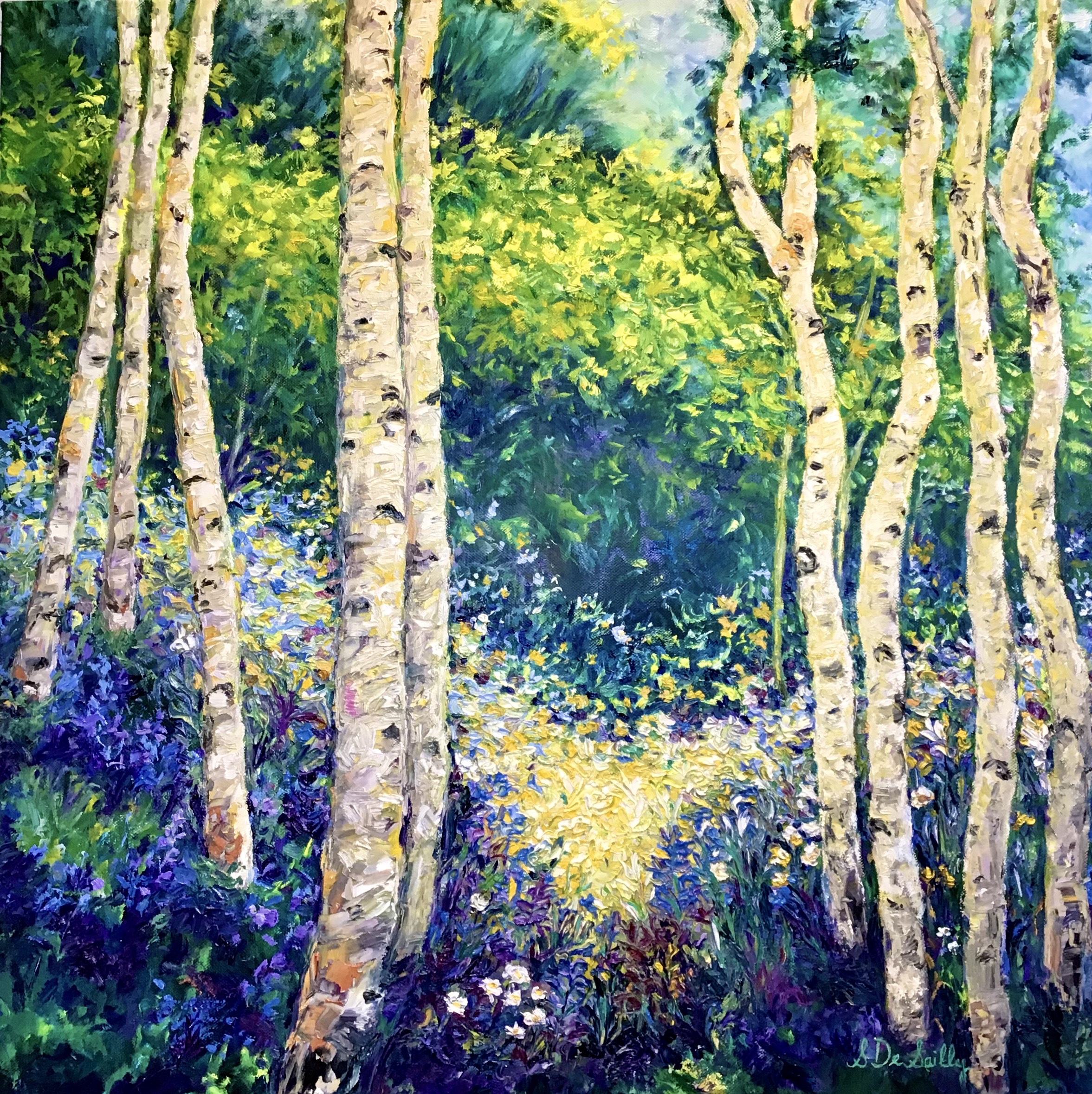 Sunlit Birches