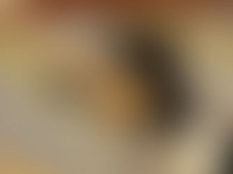 Comprehensive Guide to the AKC Collie Breed Standard