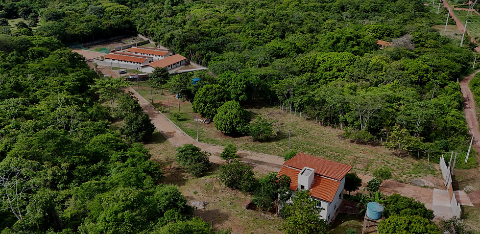 DJI_20260120085511_0092_D.jpg
