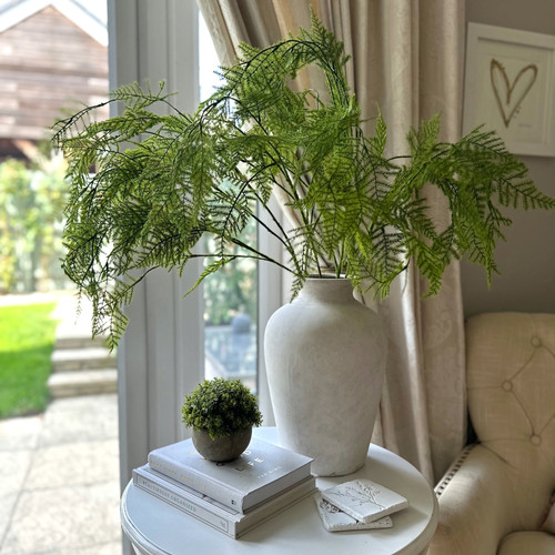 Large Asparagus Fern Spray Heartmade Interiors