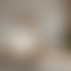 Find the Best Online Home Goods Stores for Your Home Shopping Needs