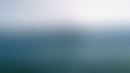 Hong Kong: The peak of the protest movement