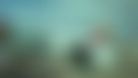 Old but Comfy like granny's sofa | Asiana Airlines A380-800