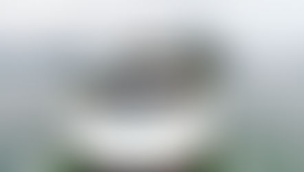 Ha Long Bay Cruise - Stellar of the Seas