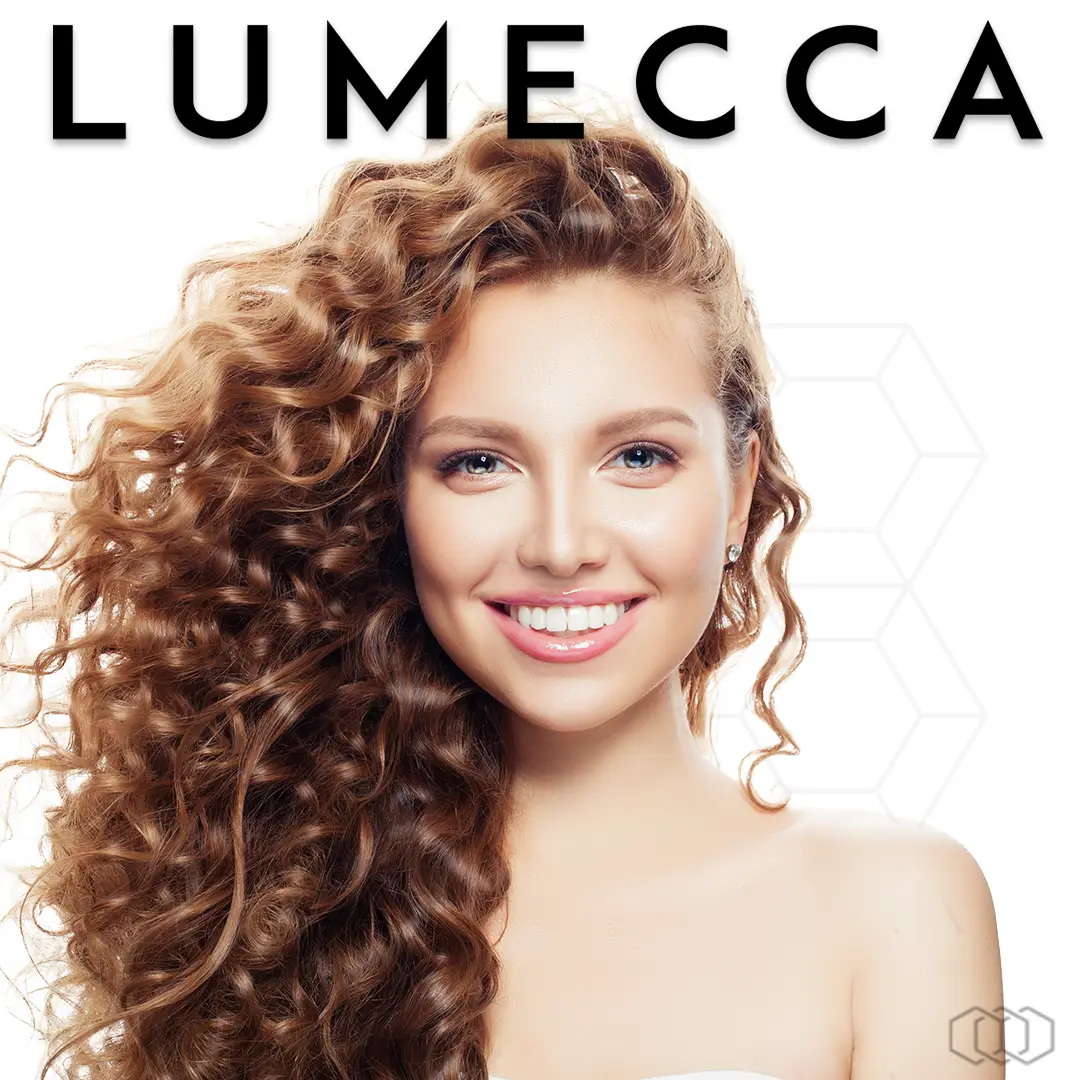 Lumecca_Infographic_1022.webp