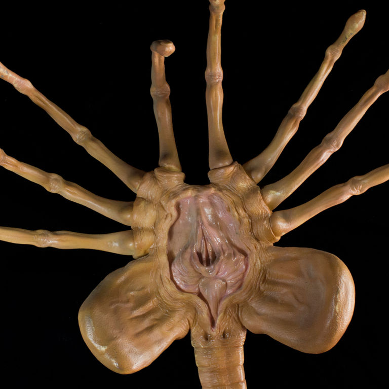 Alien Face hugger Halcyon 1/1 scale vinyl model build