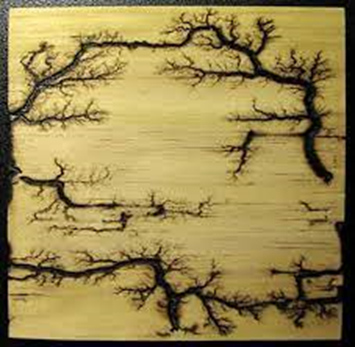 figure de Lichtenberg sur bois