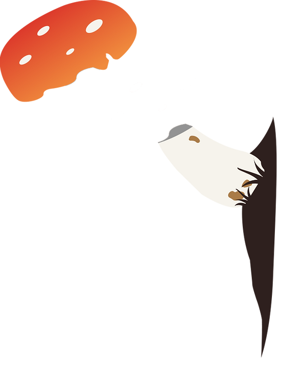 mushroom 2.png