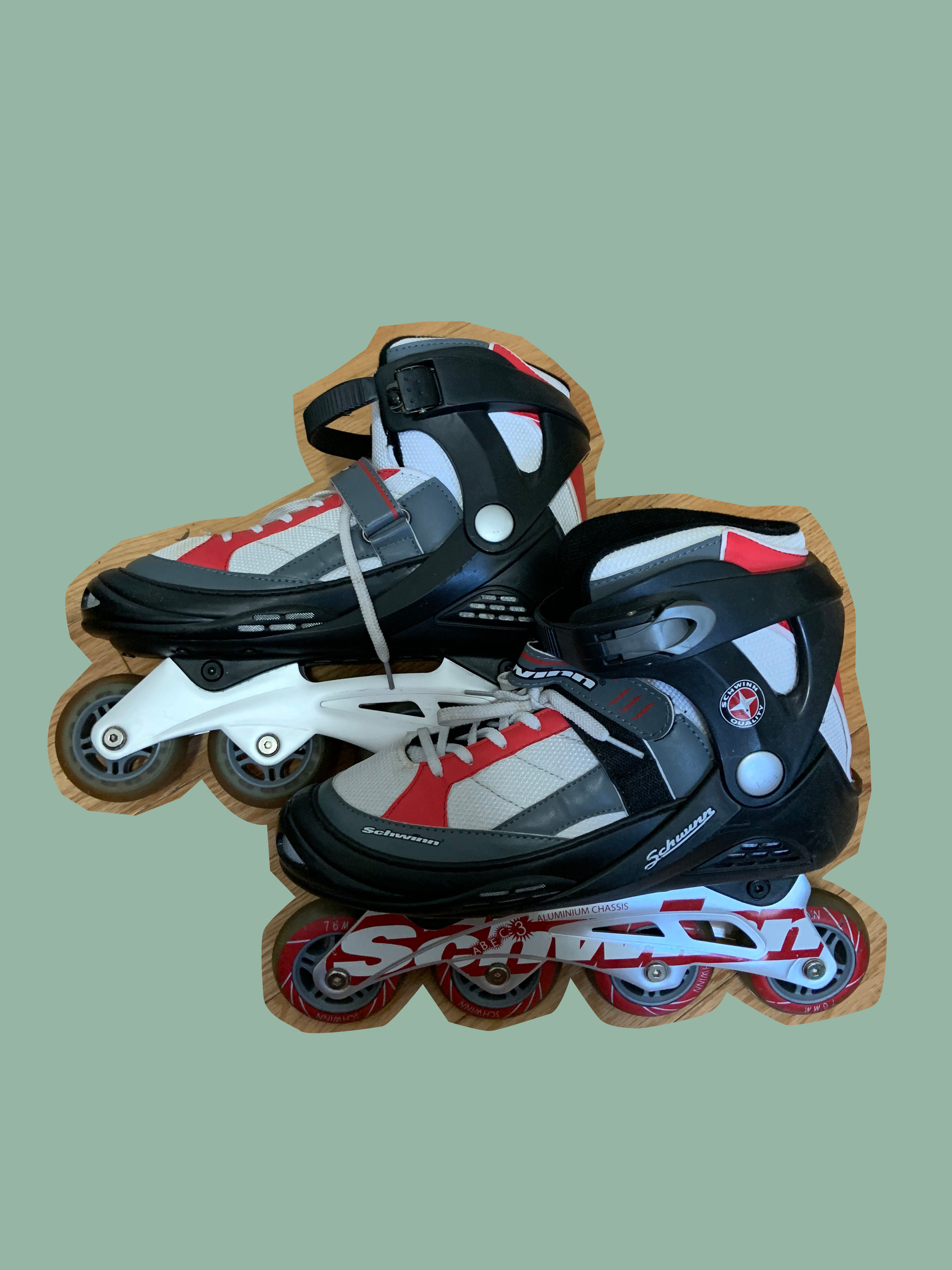 Roller Blades