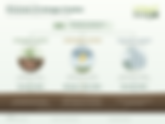 What Is Nitrogen Fixation and why it's essential for agriculture