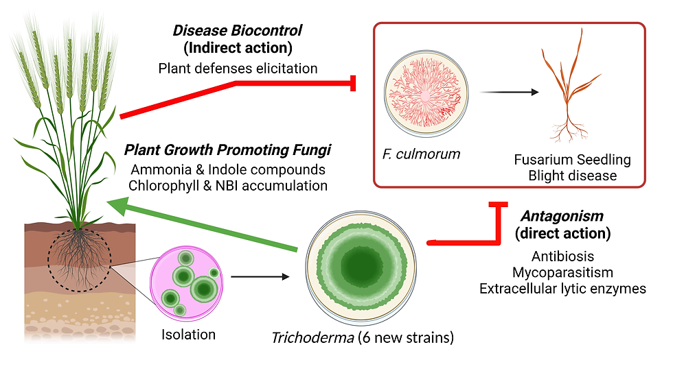 trichoderma
