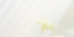 光_edited_edited_edited.jpg