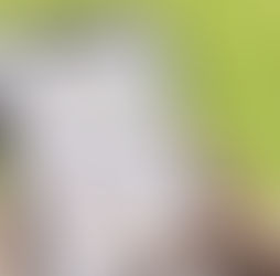 Where to Play Padel Near Me