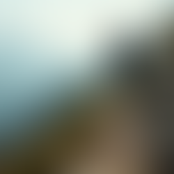 Achieve Personal and Professional Growth Effectively