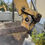 Thumbnail: 2014 Caterpillar 430F Backhoe