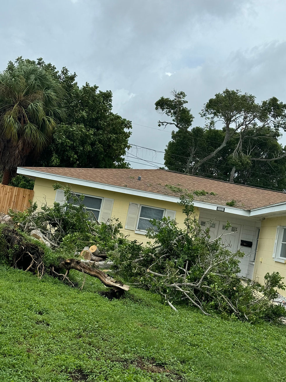 Hurricane Cleanup