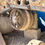 Thumbnail: 2006 Davey Drill DK725