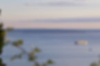 DSC06155.jpg