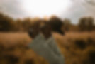 img-063.jpg
