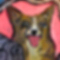 thumbnail-25.jpeg